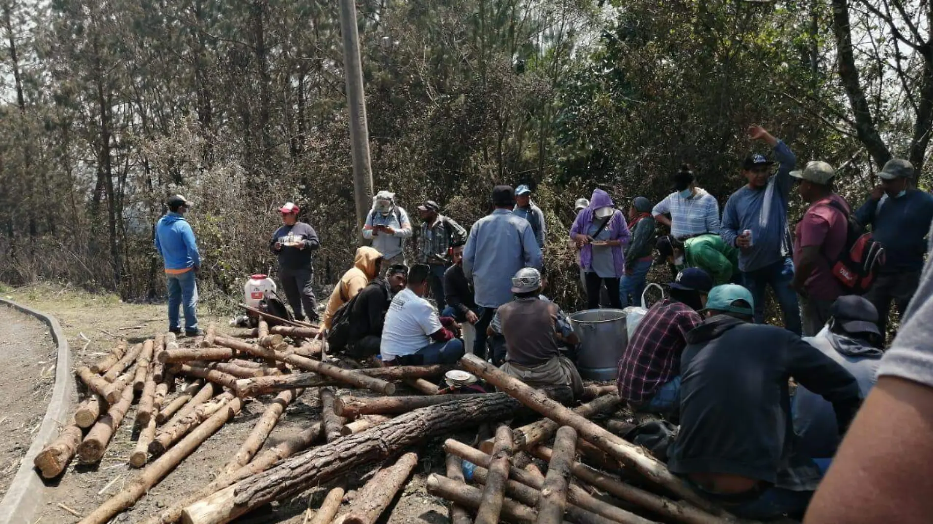 Devastadas, por incendio se perdieron 200 hectáreas de aguacate en Palo Verde